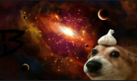 The cat and dog group:)