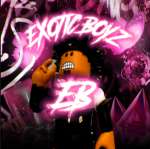 223 BDM