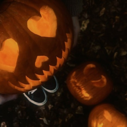 ˙ ✩°˖🍂⋆｡˚꩜