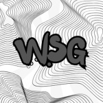 WSG Customs