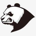 PanditaTeam