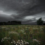 running through the storm