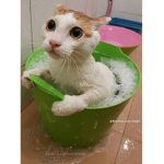Pmgsuim