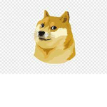 the doges forever
