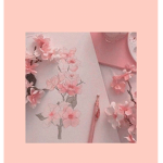 Blossoms x Blooming