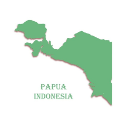 AIF | PUSAT DINAS & PENGAMANAN DAERAH KONFLIK