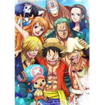 OnePieceOnly