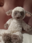 Lamb gang!