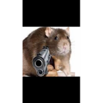 Rat gang society