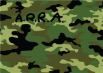 Assault Recon Rangers Army        [A.R.R.A.]