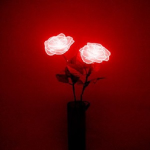 FlowerxRosie Squad Club