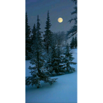 Blood and Winter