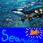 #Sea Nation