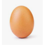 EGG FAN CLUBB
