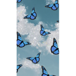 Aesthetic.butterflies.<3