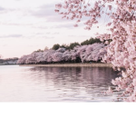 for my friends :) yay