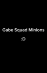 Gabe Squad Guests :D