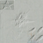 vrax