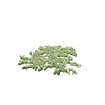DesertGrass