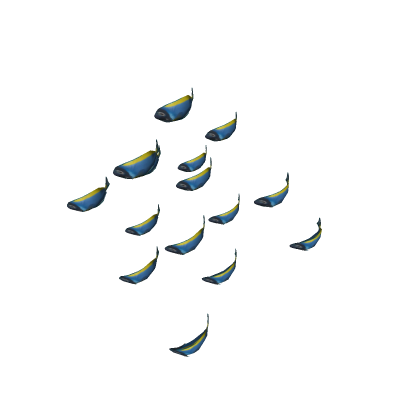 scool of fish