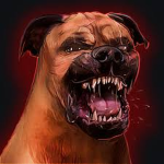 아 MAD DOG 아