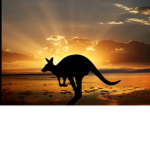 Midnight vibes in Australia