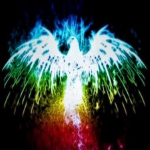 PHANTOM FIGHTERSS