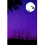Dark_shadow23