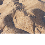 Sand is yum