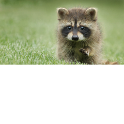 Baby run
