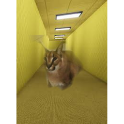 floppa and capybara in backrooms