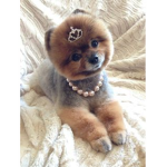 Boo Boo budy club!!!