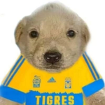 mini negocio