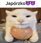 D4RK SH00TER$