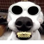 ! vuox