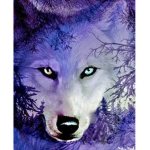 WildAlphaWolves
