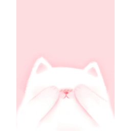 ♡Fan meeting for soft colours♡