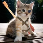 Communist Kittens