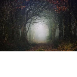 Scary Forest 3 icon