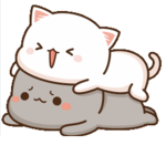 Choco and snowy
