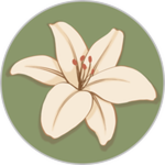 (CS) The Lily White