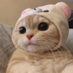 SAD_BOI :(