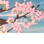~|Cherry Blossoms|~