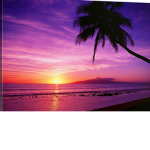 Sunset best thing ever