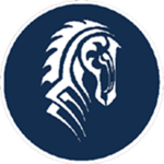 The Iceni Noble Guard