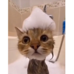 Wash your face Because it’s crusty musty dusty