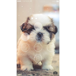 Bebe molly