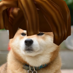 doges are the best (fan group)