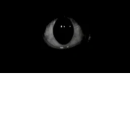 Ommetaphobia (Huge Update) icon