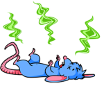 Dark rat